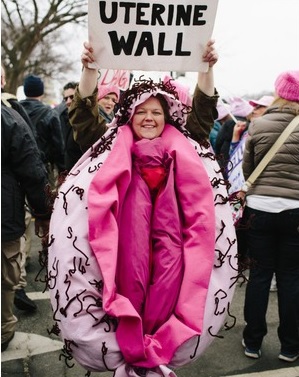 Woman Uterine Wall