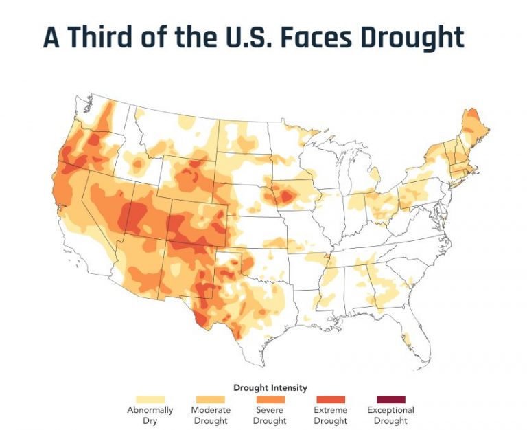 Global Food Shortages Beginning | Armstrong Economics