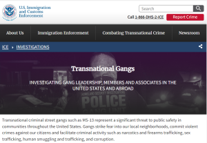 TransnationalGangs