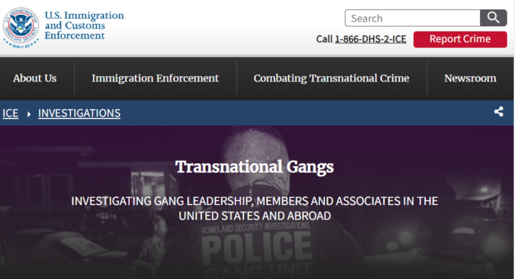 TransnationalGangs