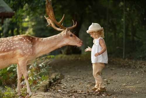 Cute,Baby,Girl,,Toddler,,Child,Feeding,Big,Brown,Deer,With