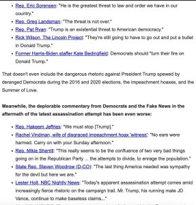 AssasinationTrumpNewsletterPAGE4