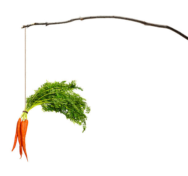 A carrot bunch dangling from a stick against a white background.