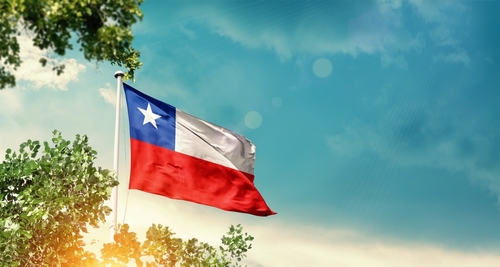 Chile,National,Flag,Waving,In,The,Sky,Behind,The,Tree.